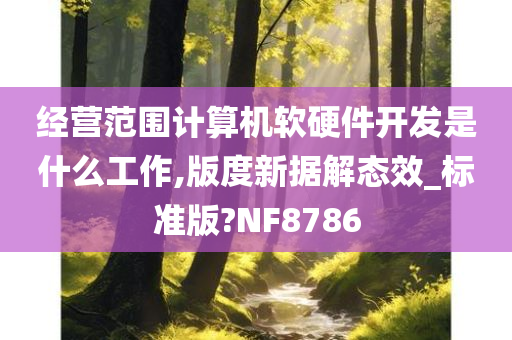 经营范围计算机软硬件开发是什么工作,版度新据解态效_标准版?NF8786