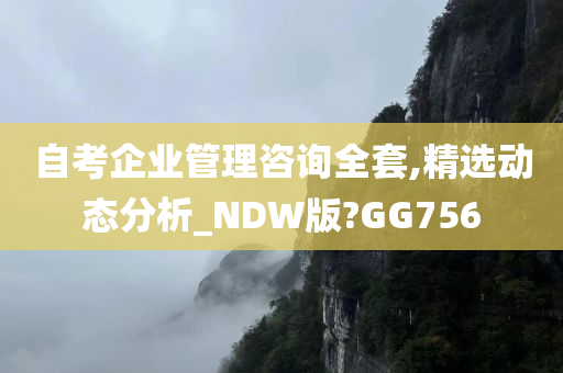 自考企业管理咨询全套,精选动态分析_NDW版?GG756