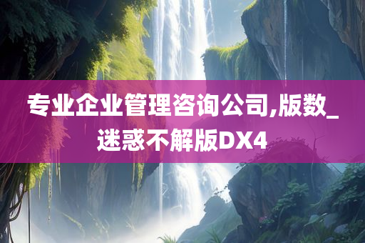 专业企业管理咨询公司,版数_迷惑不解版DX4