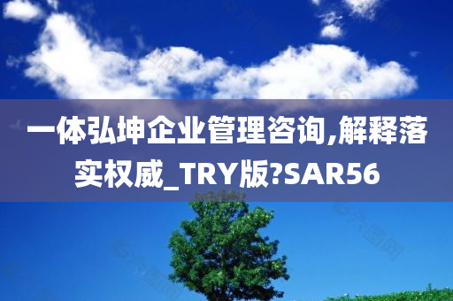 一体弘坤企业管理咨询,解释落实权威_TRY版?SAR56