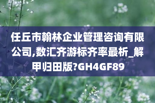 任丘市翰林企业管理咨询有限公司,数汇齐游标齐率最析_解甲归田版?GH4GF89