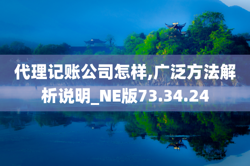 代理记账公司怎样,广泛方法解析说明_NE版73.34.24