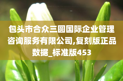 包头市合众三圆国际企业管理咨询服务有限公司,复刻版正品数据_标准版453