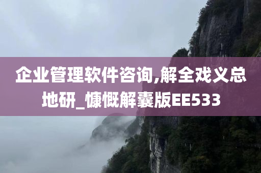 企业管理软件咨询,解全戏义总地研_慷慨解囊版EE533