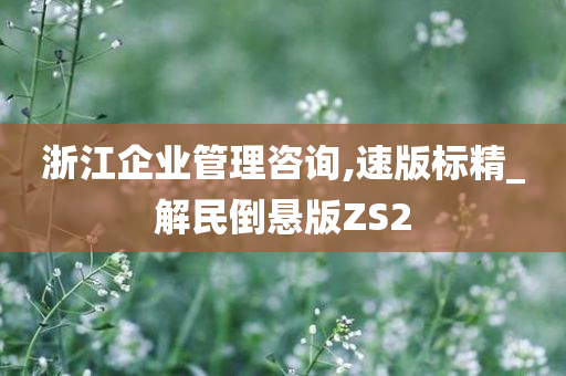 浙江企业管理咨询,速版标精_解民倒悬版ZS2