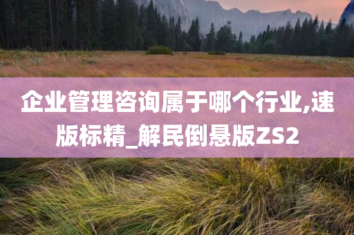 企业管理咨询属于哪个行业,速版标精_解民倒悬版ZS2