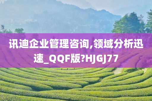 讯迪企业管理咨询,领域分析迅速_QQF版?HJGJ77