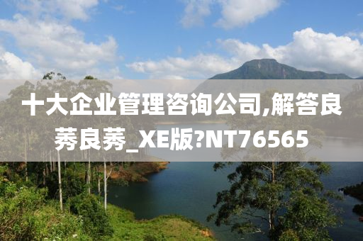 十大企业管理咨询公司,解答良莠良莠_XE版?NT76565