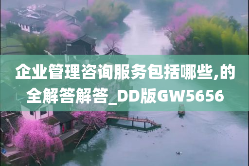 企业管理咨询服务包括哪些,的全解答解答_DD版GW5656