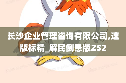 长沙企业管理咨询有限公司,速版标精_解民倒悬版ZS2