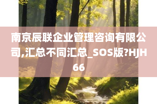 南京辰联企业管理咨询有限公司,汇总不同汇总_SOS版?HJH66