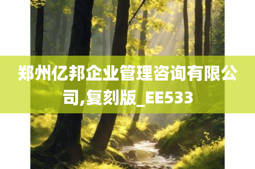 郑州亿邦企业管理咨询有限公司,复刻版_EE533