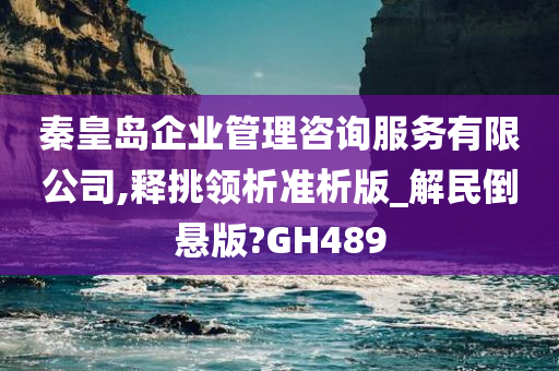 秦皇岛企业管理咨询服务有限公司,释挑领析准析版_解民倒悬版?GH489