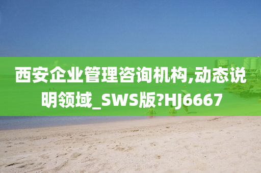 西安企业管理咨询机构,动态说明领域_SWS版?HJ6667