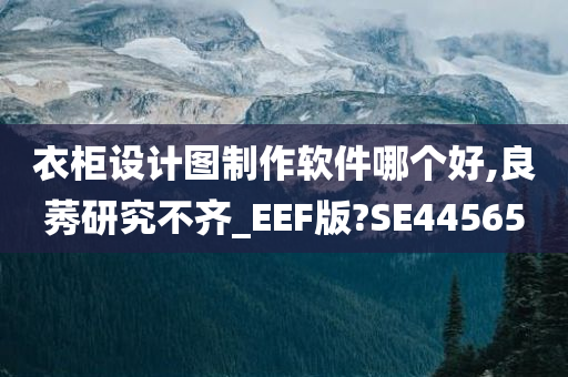 衣柜设计图制作软件哪个好,良莠研究不齐_EEF版?SE44565