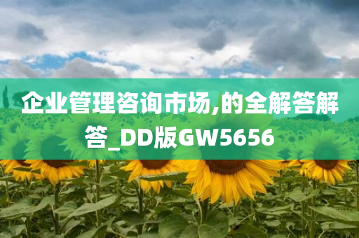 企业管理咨询市场,的全解答解答_DD版GW5656