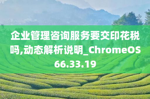 企业管理咨询服务要交印花税吗,动态解析说明_ChromeOS66.33.19