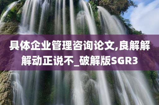 具体企业管理咨询论文,良解解解动正说不_破解版SGR3