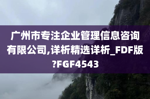 广州市专注企业管理信息咨询有限公司,详析精选详析_FDF版?FGF4543