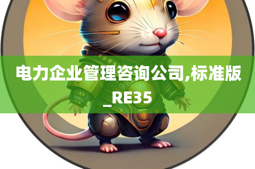 电力企业管理咨询公司,标准版_RE35