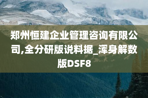 郑州恒建企业管理咨询有限公司,全分研版说料据_浑身解数版DSF8