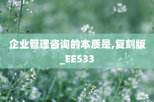 企业管理咨询的本质是,复刻版_EE533