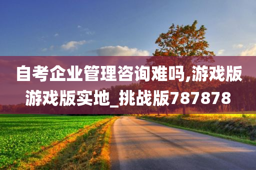 自考企业管理咨询难吗,游戏版游戏版实地_挑战版787878