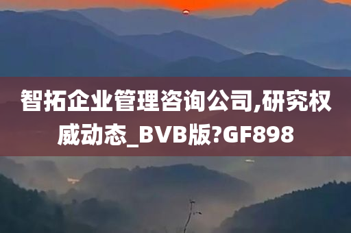 智拓企业管理咨询公司,研究权威动态_BVB版?GF898