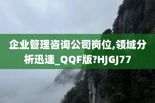 企业管理咨询公司岗位,领域分析迅速_QQF版?HJGJ77