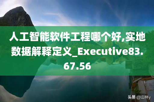 人工智能软件工程哪个好,实地数据解释定义_Executive83.67.56