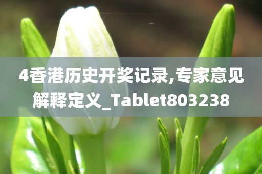 4香港历史开奖记录,专家意见解释定义_Tablet803238