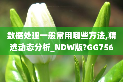 数据处理一般常用哪些方法,精选动态分析_NDW版?GG756