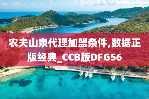 农夫山泉代理加盟条件,数据正版经典_CCB版DFG56