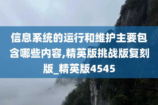 信息系统的运行和维护主要包含哪些内容,精英版挑战版复刻版_精英版4545