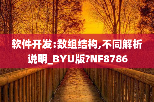 软件开发:数组结构,不同解析说明_BYU版?NF8786