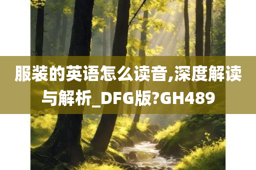 服装的英语怎么读音,深度解读与解析_DFG版?GH489