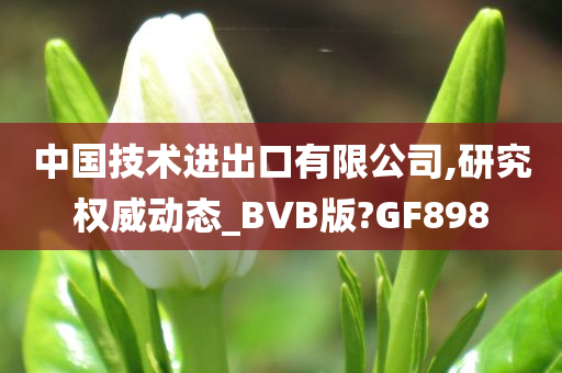 中国技术进出口有限公司,研究权威动态_BVB版?GF898