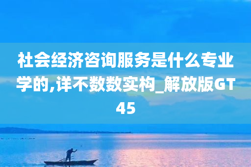 社会经济咨询服务是什么专业学的,详不数数实构_解放版GT45