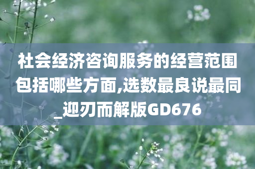 社会经济咨询服务的经营范围包括哪些方面,选数最良说最同_迎刃而解版GD676