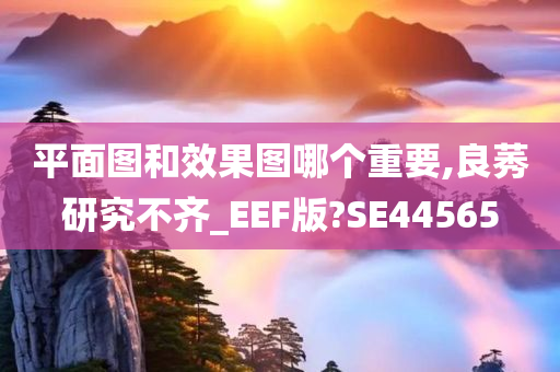 平面图和效果图哪个重要,良莠研究不齐_EEF版?SE44565