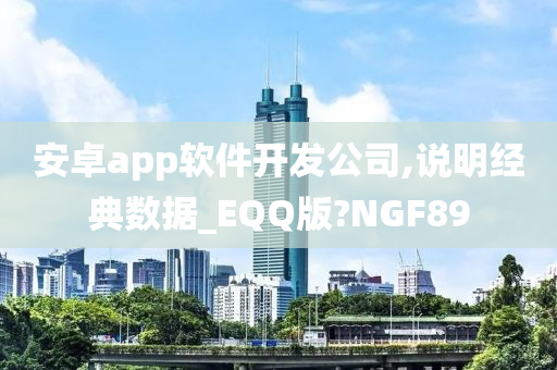 安卓app软件开发公司,说明经典数据_EQQ版?NGF89