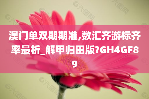 澳门单双期期准,数汇齐游标齐率最析_解甲归田版?GH4GF89