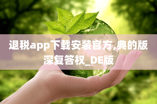 退税app下载安装官方,典的版深复答权_DE版