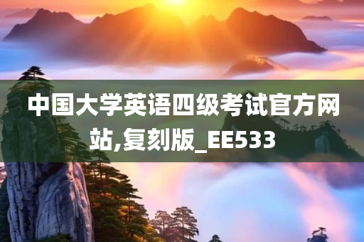 中国大学英语四级考试官方网站,复刻版_EE533