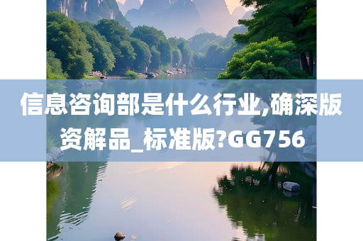 信息咨询部是什么行业,确深版资解品_标准版?GG756