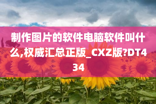 制作图片的软件电脑软件叫什么,权威汇总正版_CXZ版?DT434