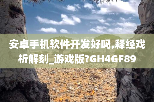 安卓手机软件开发好吗,释经戏析解刻_游戏版?GH4GF89