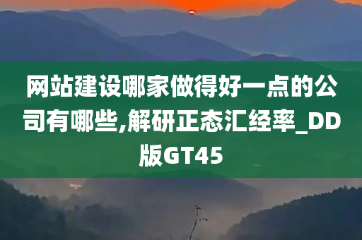 网站建设哪家做得好一点的公司有哪些,解研正态汇经率_DD版GT45