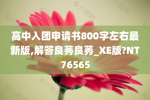 高中入团申请书800字左右最新版,解答良莠良莠_XE版?NT76565