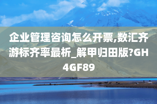 企业管理咨询怎么开票,数汇齐游标齐率最析_解甲归田版?GH4GF89